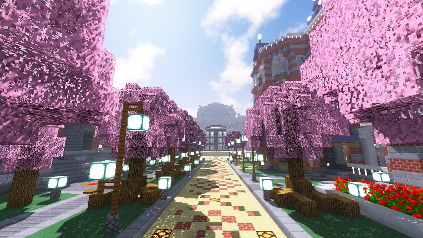 ぷっこ村も桜が満開1